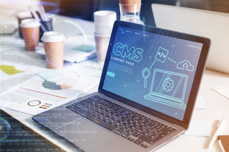 Hébergement web et CMS, quelles solutions choisir ?